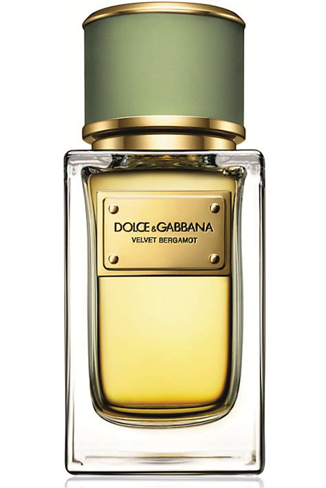 dolce & gabbana velvet bergamot